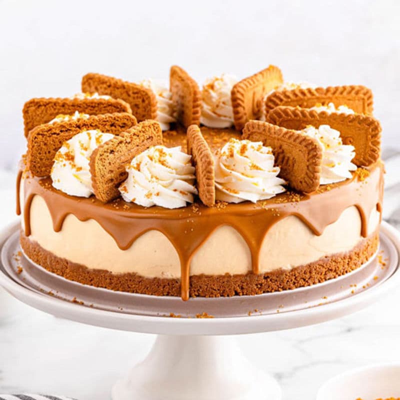 Biscoff Cheesecake - VapeSoko